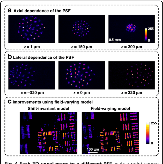 Figure 4 for Miniscope3D: optimized single-shot miniature 3D fluorescence microscopy