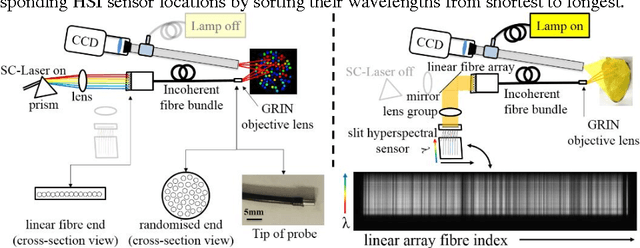 Figure 1 for Probe-based Rapid Hybrid Hyperspectral and Tissue Surface Imaging Aided by Fully Convolutional Networks
