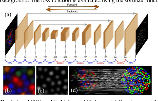 Figure 3 for Probe-based Rapid Hybrid Hyperspectral and Tissue Surface Imaging Aided by Fully Convolutional Networks