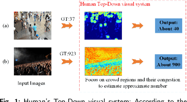 Figure 1 for Region-Aware Network: Model Human's Top-Down Visual Perception Mechanism for Crowd Counting