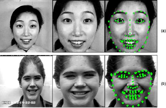Figure 4 for Evaluation of Self-taught Learning-based Representations for Facial Emotion Recognition