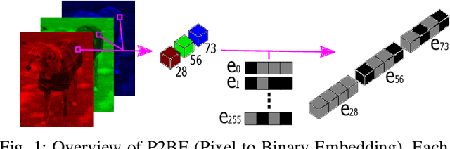 Figure 1 for Pixel to Binary Embedding Towards Robustness for CNNs