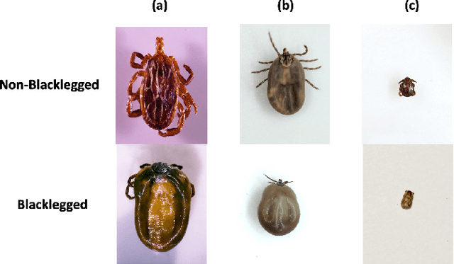 Figure 1 for A Computer Vision Approach to Combat Lyme Disease