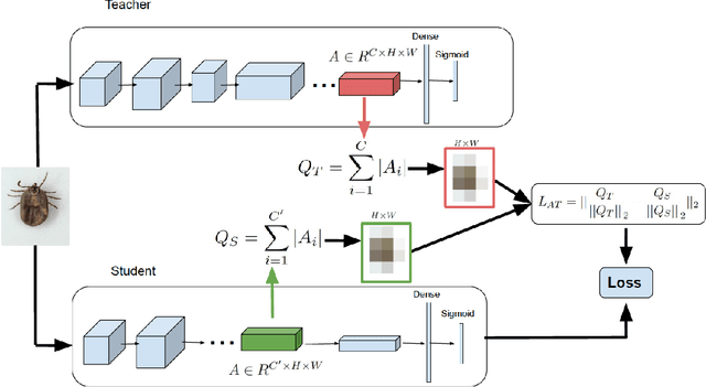 Figure 2 for A Computer Vision Approach to Combat Lyme Disease