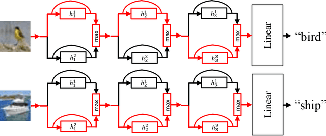 Figure 1 for Deep Competitive Pathway Networks