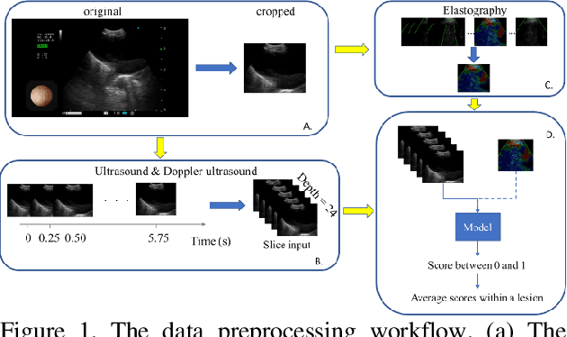 Figure 1 for The interpretation of endobronchial ultrasound image using 3D convolutional neural network for differentiating malignant and benign mediastinal lesions