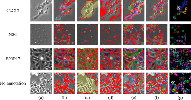 Figure 4 for Weakly Supervised Cell Instance Segmentation by Propagating from Detection Response