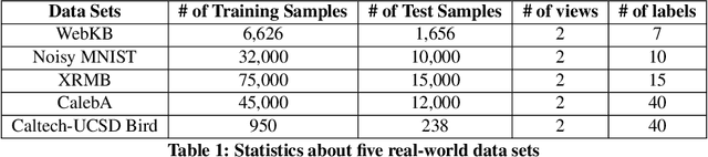 Figure 2 for Deep Co-Attention Network for Multi-View Subspace Learning