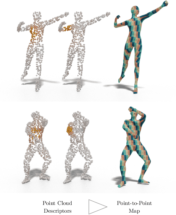 Figure 1 for Deep Geometric Functional Maps: Robust Feature Learning for Shape Correspondence