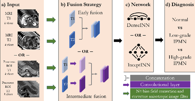 Figure 3 for INN: Inflated Neural Networks for IPMN Diagnosis