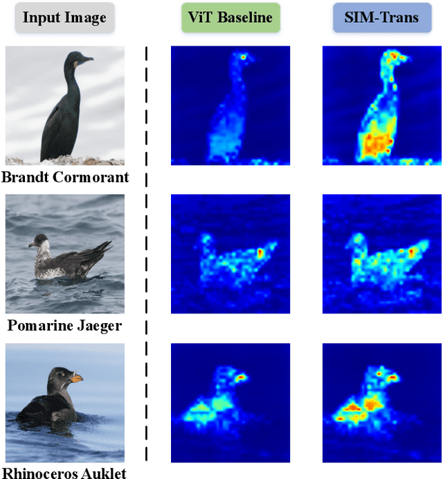 Figure 4 for SIM-Trans: Structure Information Modeling Transformer for Fine-grained Visual Categorization