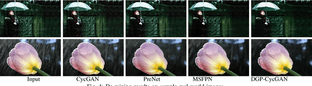 Figure 4 for Unsupervised Restoration of Weather-affected Images using Deep Gaussian Process-based CycleGAN