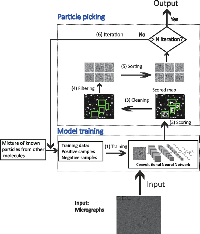 Figure 1 for DeepPicker: a Deep Learning Approach for Fully Automated Particle Picking in Cryo-EM