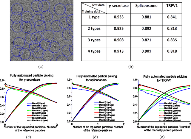 Figure 3 for DeepPicker: a Deep Learning Approach for Fully Automated Particle Picking in Cryo-EM