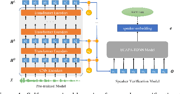 Figure 1 for Why does Self-Supervised Learning for Speech Recognition Benefit Speaker Recognition?