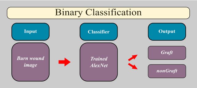 Figure 4 for Multiclass Burn Wound Image Classification Using Deep Convolutional Neural Networks