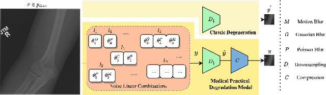 Figure 1 for Rethinking Degradation: Radiograph Super-Resolution via AID-SRGAN