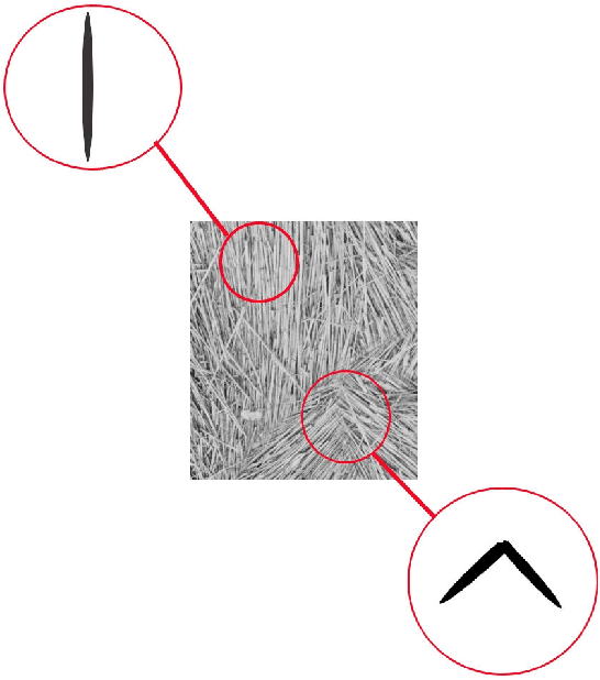 Figure 1 for CLD-shaped Brushstrokes in Non-Photorealistic Rendering