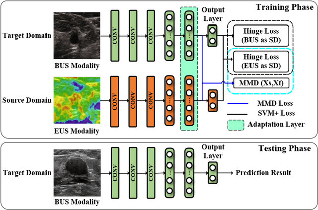 Figure 3 for Deep Doubly Supervised Transfer Network for Diagnosis of Breast Cancer with Imbalanced Ultrasound Imaging Modalities