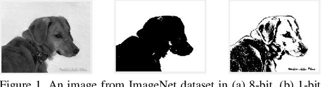 Figure 1 for BitSplit-Net: Multi-bit Deep Neural Network with Bitwise Activation Function