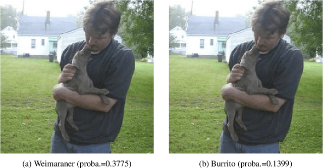 Figure 4 for Stochastic sparse adversarial attacks