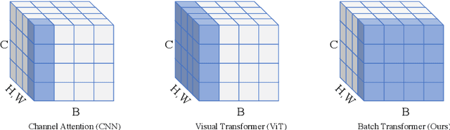 Figure 1 for BatchFormerV2: Exploring Sample Relationships for Dense Representation Learning