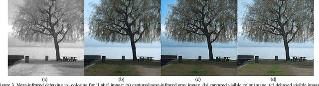 Figure 4 for Near-Infrared Image Dehazing Via Color Regularization
