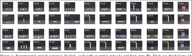 Figure 1 for Explaining intuitive difficulty judgments by modeling physical effort and risk