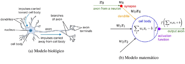 Figure 2 for Representaciones del aprendizaje reutilizando los gradientes de la retropropagacion