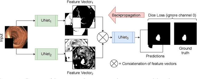 Figure 3 for DivergentNets: Medical Image Segmentation by Network Ensemble