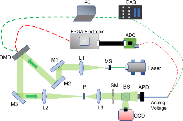 Figure 1 for High-Speed Light Focusing through Scattering Medium by Cooperatively Accelerated Genetic Algorithm