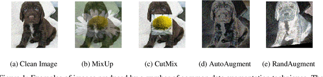 Figure 1 for Does Data Augmentation Benefit from Split BatchNorms