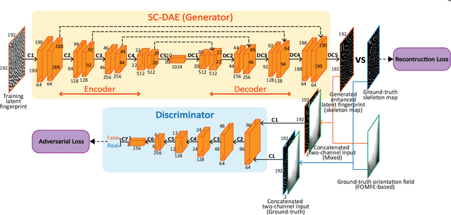 Figure 3 for FingerGAN: A Constrained Fingerprint Generation Scheme for Latent Fingerprint Enhancement