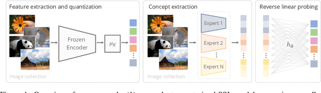Figure 1 for Measuring the Interpretability of Unsupervised Representations via Quantized Reverse Probing