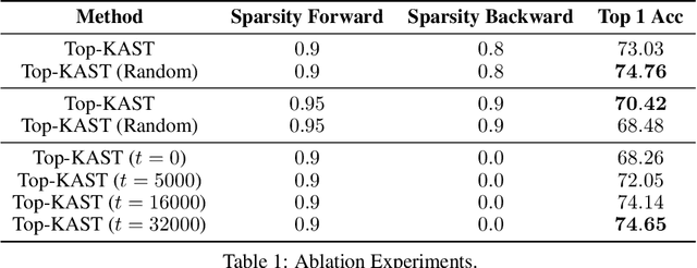 Figure 2 for Top-KAST: Top-K Always Sparse Training