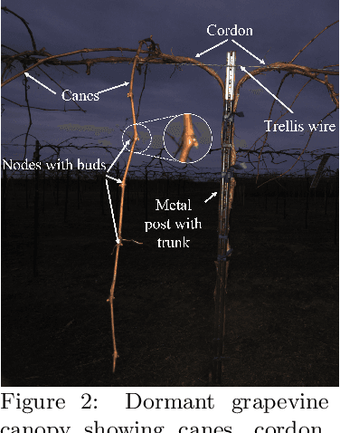 Figure 3 for Bumblebee: A Path Towards Fully Autonomous Robotic Vine Pruning
