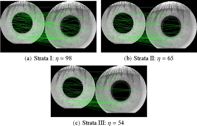 Figure 1 for Stratified SIFT Matching for Human Iris Recognition