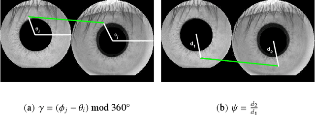 Figure 4 for Stratified SIFT Matching for Human Iris Recognition
