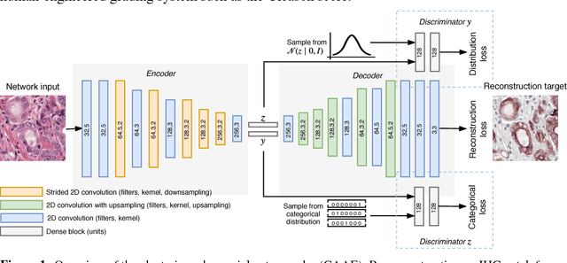 Figure 1 for Unsupervised Prostate Cancer Detection on H&E using Convolutional Adversarial Autoencoders