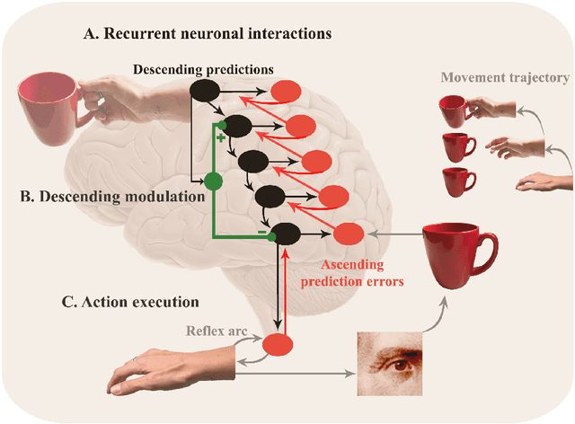 Figure 1 for Predictive Processing in Cognitive Robotics: a Review