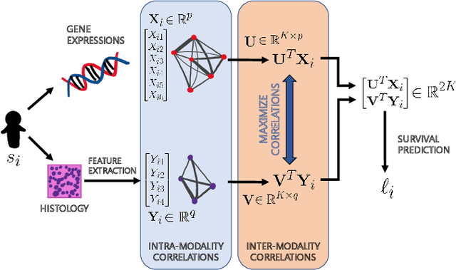 Figure 1 for Multimodal fusion using sparse CCA for breast cancer survival prediction