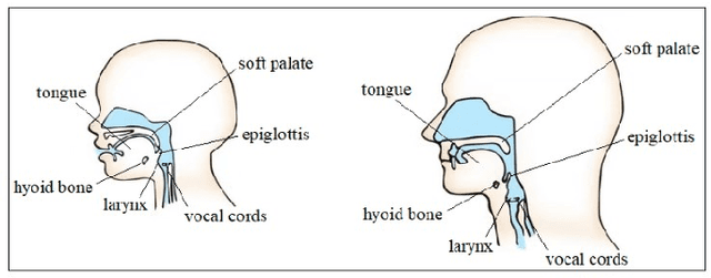 Figure 1 for Infant Vocal Tract Development Analysis and Diagnosis by Cry Signals with CNN Age Classification