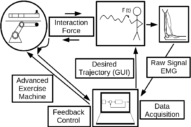 Figure 1 for Targeted Muscle Effort Distribution with Exercise Robots: Trajectory and Resistance Effects