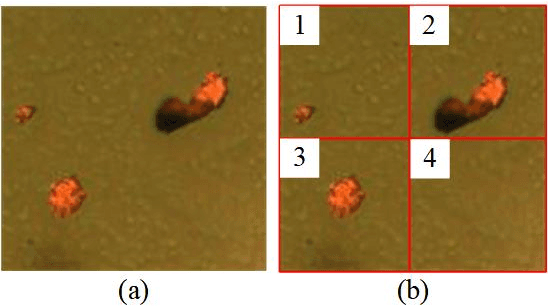 Figure 2 for Ferrograph image classification