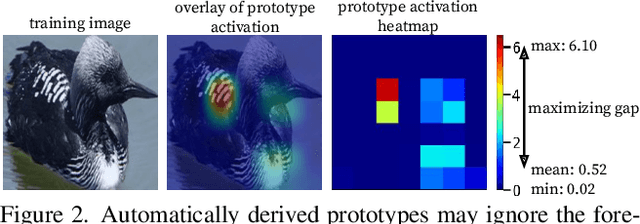 Figure 3 for Interpretable Image Classification with Differentiable Prototypes Assignment