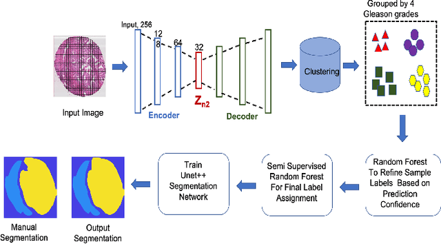 Figure 3 for Learning of Inter-Label Geometric Relationships Using Self-Supervised Learning: Application To Gleason Grade Segmentation