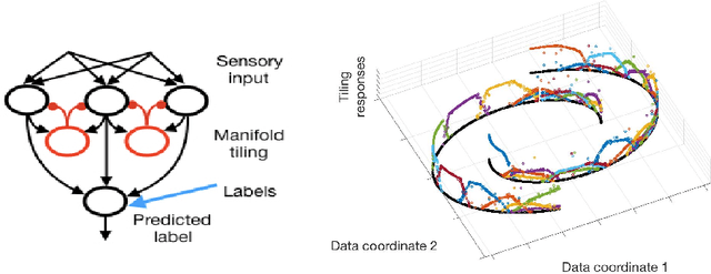 Figure 1 for A Neural Network for Semi-Supervised Learning on Manifolds