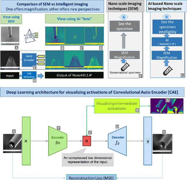 Figure 1 for AI visualization in Nanoscale Microscopy