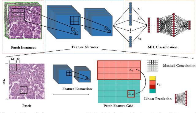 Figure 1 for Semi-Supervised Histology Classification using Deep Multiple Instance Learning and Contrastive Predictive Coding