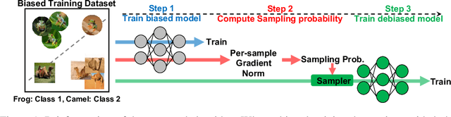 Figure 1 for Mitigating Dataset Bias by Using Per-sample Gradient